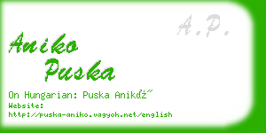 aniko puska business card
